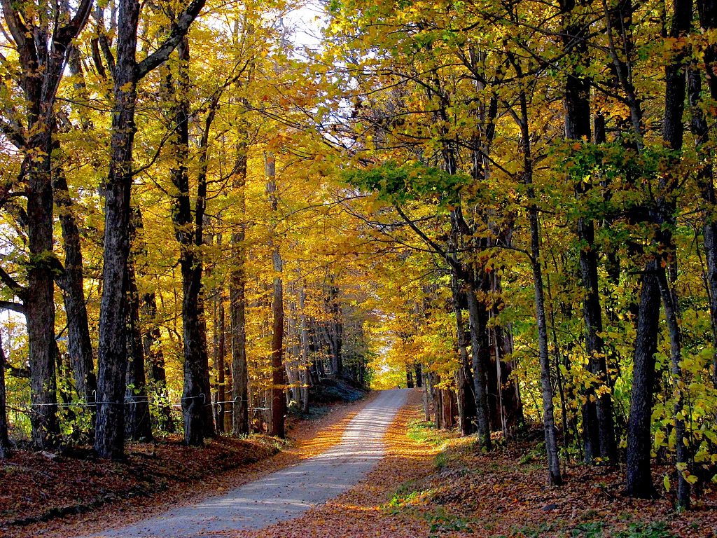 fall-2022-valerie-claff